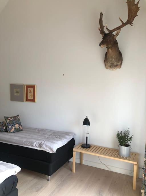 Cozy, Quiet Guest House Perfect For Business Or Pleasure 希勒勒 外观 照片