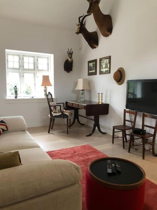 Cozy, Quiet Guest House Perfect For Business Or Pleasure 希勒勒 外观 照片