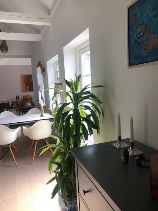 Cozy, Quiet Guest House Perfect For Business Or Pleasure 希勒勒 外观 照片