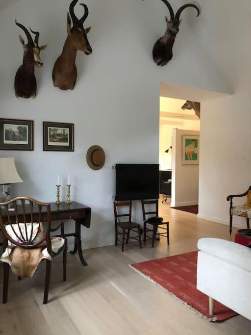 Cozy, Quiet Guest House Perfect For Business Or Pleasure 希勒勒 外观 照片